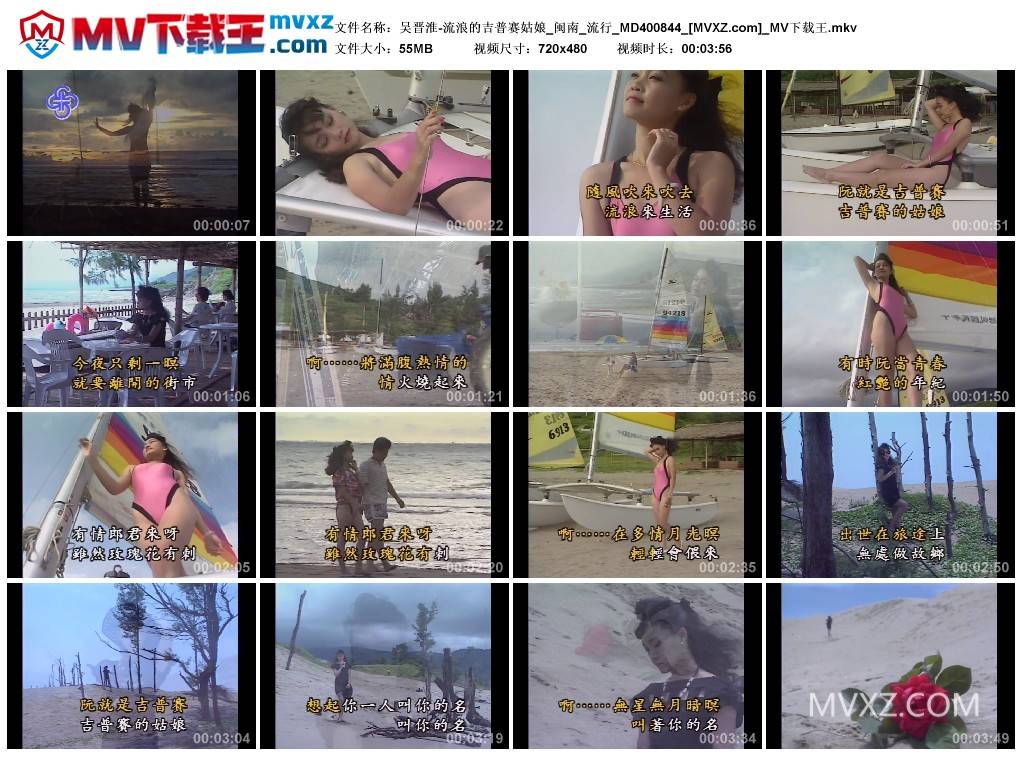 吴晋淮-流浪的吉普赛姑娘_闽南_流行_MD400844